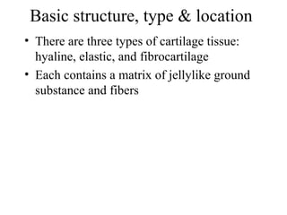 Basic structure, type & location
• There are three types of cartilage tissue:
hyaline, elastic, and fibrocartilage
• Each contains a matrix of jellylike ground
substance and fibers
 