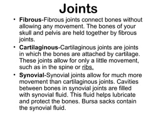 Joints
• Fibrous-Fibrous joints connect bones without
allowing any movement. The bones of your
skull and pelvis are held together by fibrous
joints.
• Cartilaginous-Cartilaginous joints are joints
in which the bones are attached by cartilage.
These joints allow for only a little movement,
such as in the spine or ribs.
• Synovial-Synovial joints allow for much more
movement than cartilaginous joints. Cavities
between bones in synovial joints are filled
with synovial fluid. This fluid helps lubricate
and protect the bones. Bursa sacks contain
the synovial fluid. within fixed limits
 