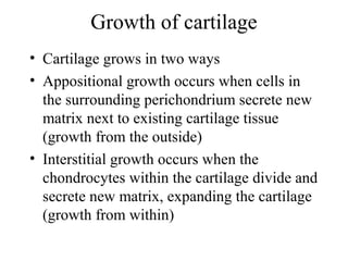 Growth of cartilage
• Cartilage grows in two ways
• Appositional growth occurs when cells in
the surrounding perichondrium secrete new
matrix next to existing cartilage tissue
(growth from the outside)
• Interstitial growth occurs when the
chondrocytes within the cartilage divide and
secrete new matrix, expanding the cartilage
(growth from within)
 