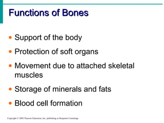Functions of BonesFunctions of Bones
Copyright © 2003 Pearson Education, Inc. publishing as Benjamin Cummings
• Support of the body
• Protection of soft organs
• Movement due to attached skeletal
muscles
• Storage of minerals and fats
• Blood cell formation
 