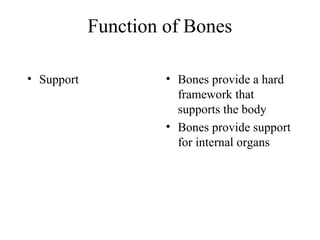 Function of Bones
• Support • Bones provide a hard
framework that
supports the body
• Bones provide support
for internal organs
 