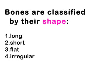 Bones are classified
by their shape:
1.long
2.short
3.flat
4.irregular
 