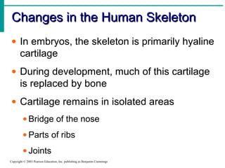 Changes in the Human SkeletonChanges in the Human Skeleton
Copyright © 2003 Pearson Education, Inc. publishing as Benjamin Cummings
• In embryos, the skeleton is primarily hyaline
cartilage
• During development, much of this cartilage
is replaced by bone
• Cartilage remains in isolated areas
• Bridge of the nose
• Parts of ribs
• Joints
 