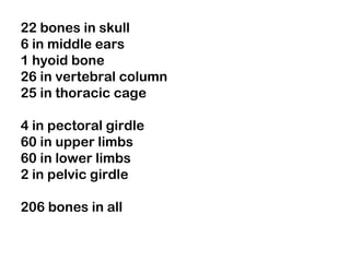 22 bones in skull
6 in middle ears
1 hyoid bone
26 in vertebral column
25 in thoracic cage
4 in pectoral girdle
60 in upper limbs
60 in lower limbs
2 in pelvic girdle
206 bones in all
 