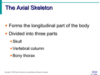 The Axial SkeletonThe Axial Skeleton
SlideCopyright © 2003 Pearson Education, Inc. publishing as Benjamin Cummings
• Forms the longitudinal part of the body
• Divided into three parts
•Skull
•Vertebral column
•Bony thorax
 