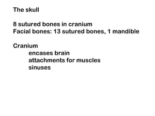 The skull
8 sutured bones in cranium
Facial bones: 13 sutured bones, 1 mandible
Cranium
encases brain
attachments for muscles
sinuses
 