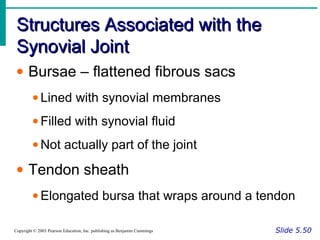 Structures Associated with theStructures Associated with the
Synovial JointSynovial Joint
Slide 5.50Copyright © 2003 Pearson Education, Inc. publishing as Benjamin Cummings
• Bursae – flattened fibrous sacs
• Lined with synovial membranes
• Filled with synovial fluid
• Not actually part of the joint
• Tendon sheath
• Elongated bursa that wraps around a tendon
 