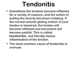 Tendonitis
• Sometimes the tendons become inflamed
for a variety of reasons, and the action of
pulling the muscle becomes irritating. If
the normal smooth gliding motion of your
tendon is impaired, the tendon will
become inflamed and movement will
become painful. This is called
tendonitis, and literally means
inflammation of the tendon.
• The most common cause of tendonitis is
overuse.
 
