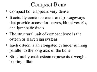 Skeletal system.pptnursing