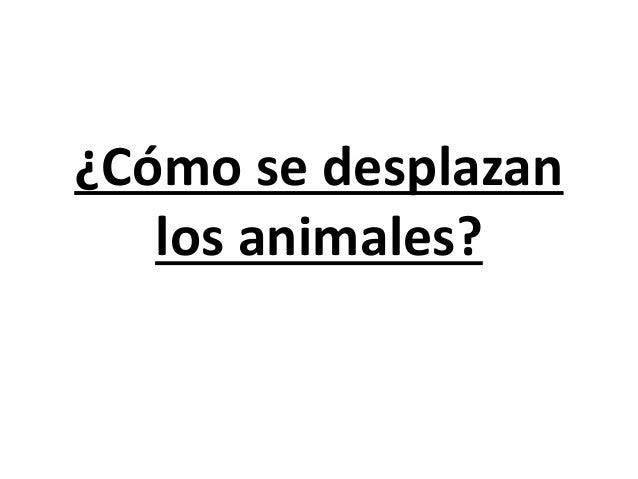 Cómo se desplazan los animales