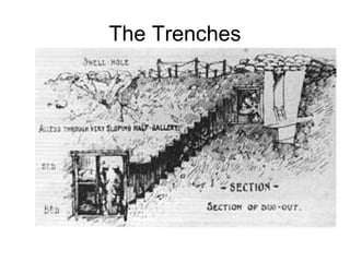 The Trenches 
