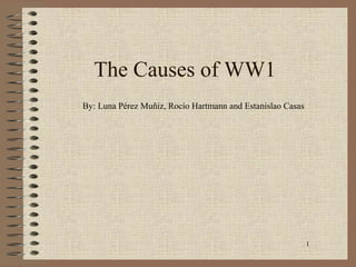 1
The Causes of WW1
By: Luna Pérez Muñiz, Rocío Hartmann and Estanislao Casas
 