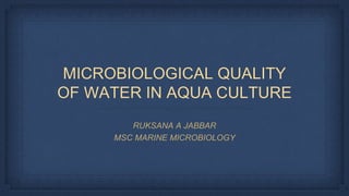 MICROBIOLOGICAL QUALITY
OF WATER IN AQUA CULTURE
RUKSANA A JABBAR
MSC MARINE MICROBIOLOGY
 