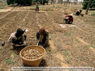 Photo courtesy of World Bank Photo Collections http://www.ﬂickr.com/photos/10816734@N03/2766433018/
 