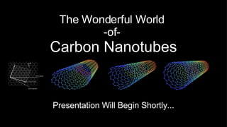 The Wonderful World  -of-  Carbon Nanotubes Presentation Will Begin Shortly... 