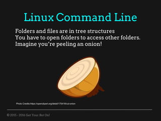 © 2015 - 2016 Get Your Bot On!
Linux Command Line
Folders and files are in tree structures
You have to open folders to access other folders.
Imagine you’re peeling an onion!
Photo Credits:https://openclipart.org/detail/175418/cut-onion
 