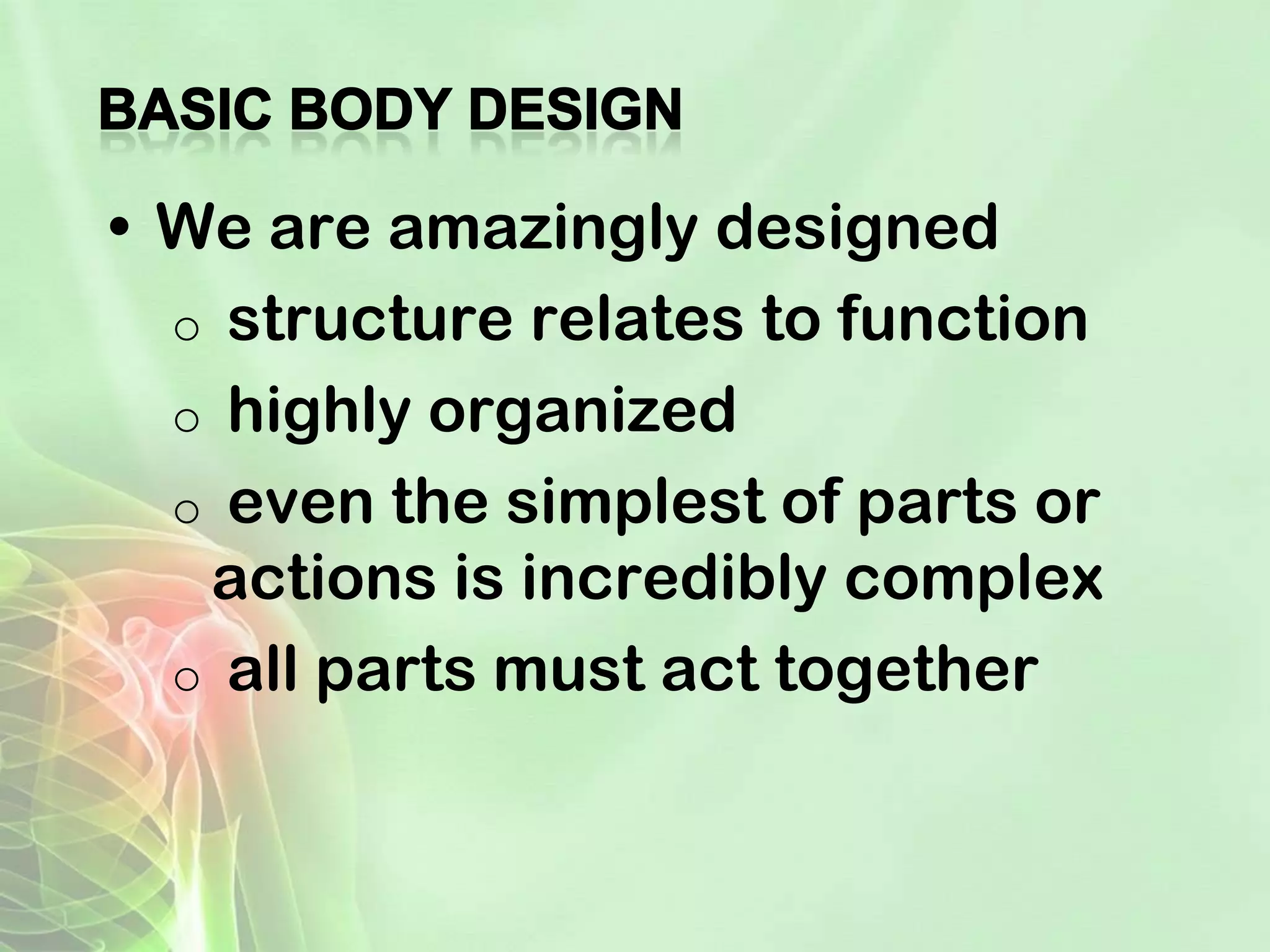 Reflection human body-powerpoint | PPT