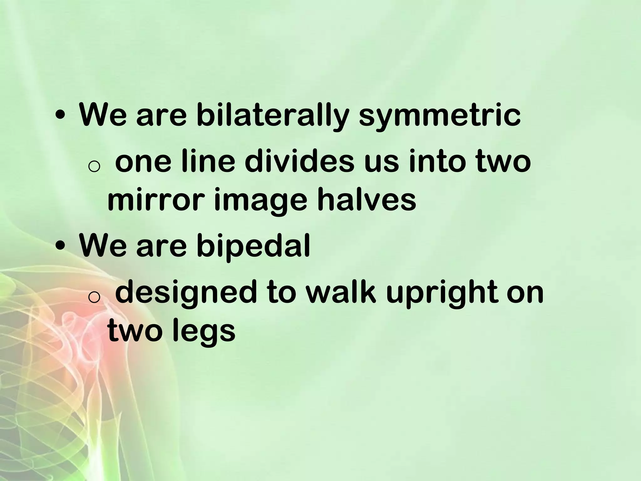 Reflection human body-powerpoint | PPT