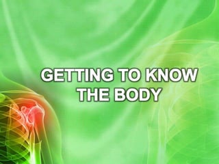 Human Body Reflection Reflection human body-powerpoint | PPSX
