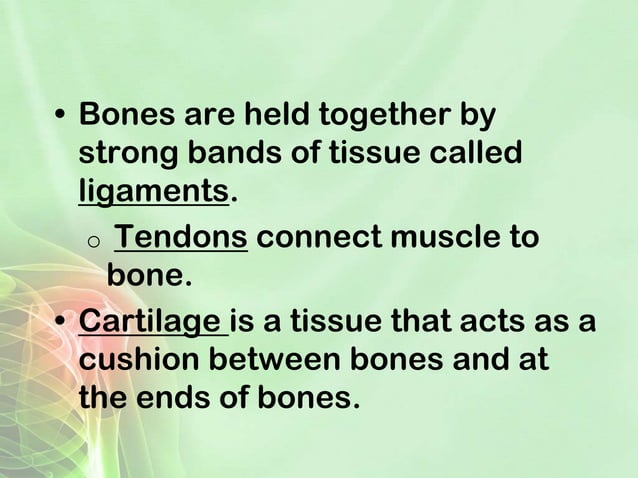 Reflection human body-powerpoint | PPT