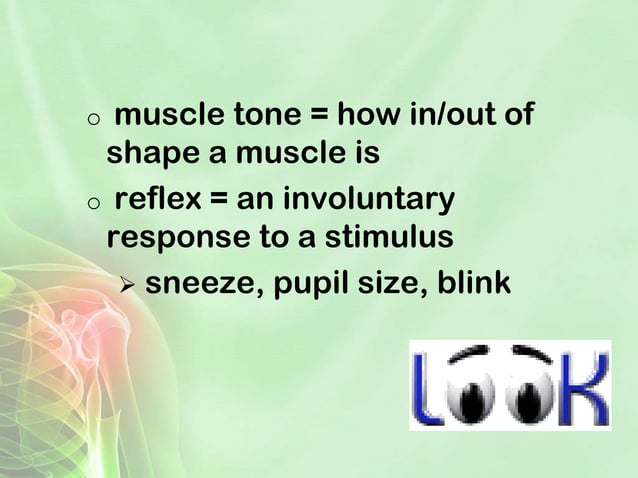 Reflection human body-powerpoint | PPT