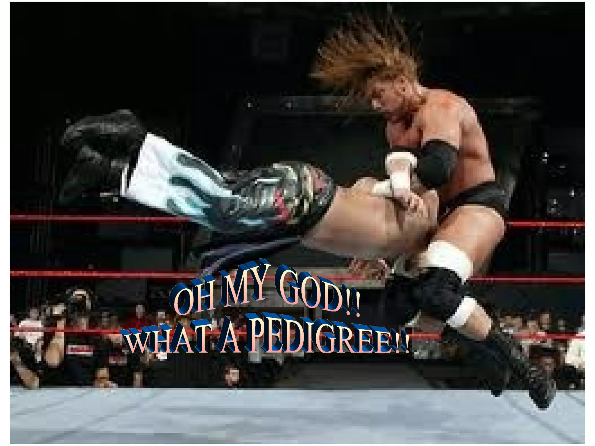 OH MY GOD!! WHAT A PEDIGREE!!