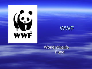 WWF World  Wildlife   Fund 