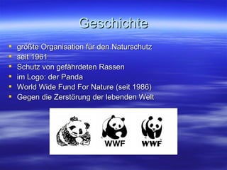 Geschichte größte Organisation für den Naturschutz seit 1961 Schutz von gefährdeten Rassen im Logo: der Panda World Wide Fund For Nature (seit 1986) Gegen die Zerstörung der lebenden Welt 