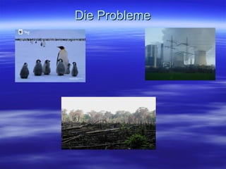 Die  Probleme 