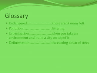 Glossary
 Endangered………………………...there aren’t many left
 Pollution……………………………..littering
 Urbanization……………………...when you take an
environment and build a city on top of it
 Deforestation……………………..the cutting down of trees
 