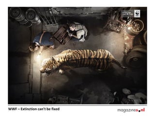 WWF – Extinction can’t be fixed
 