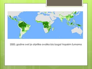 2000. godine svet je otprilike ovoliko bio bogat tropskim šumama
 
