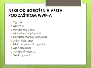  Tigrovi
 Morževi
 Polarni medvedi
 Magelanovi pingvini
 Kožasta morska kornjača
 Atlantska tuna
 Istočna planinska gorila
 Monarh leptir
 Javanski nosorog
 Velika panda
NEKE OD UGROŽENIH VRSTA
POD ZAŠTITOM WWF-A
 