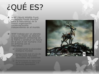  WWF (World Wildlife Fund,
en español Fondo Mundial
para la Naturaleza) es la
mayor organización
conservacionista
independiente en el mundo.
 WWF trabaja por un planeta
vivo y su misión es detener
la degradación ambiental de
la Tierra y construir un futuro
en el que el ser humano viva
en armonía con la
naturaleza:
 Conservando la diversidad
biológica mundial
 Asegurando que el uso de
los recursos naturales
renovables sea sostenible
 Promoviendo la reducción
de la contaminación y el
consumo desmedido
¿QUÉ ES?
 