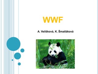 WWF
A. Velíšková, K. Šmatláková
 