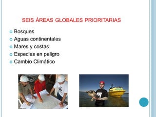 SEIS ÁREAS GLOBALES PRIORITARIAS
Bosques
Aguas continentales
Mares y costas
Especies en peligro
Cambio Climático