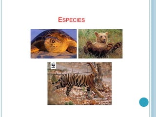 ESPECIES