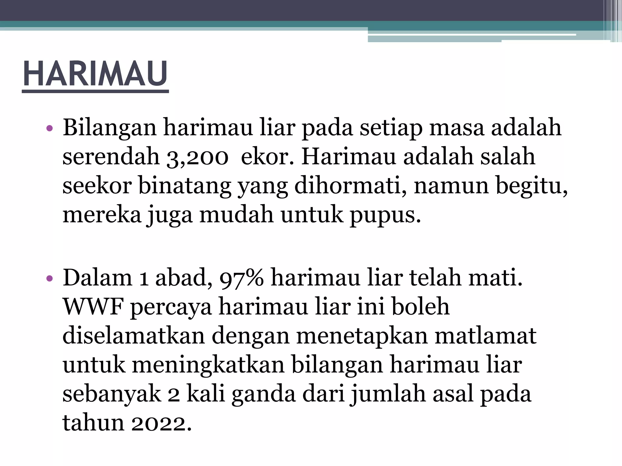 HARIMAU
• Bilangan harimau liar pada setiap masa adalah
serendah 3,200 ekor. Harimau adalah salah
seekor binatang yang dihormati, namun begitu,
mereka juga mudah untuk pupus.
• Dalam 1 abad, 97% harimau liar telah mati.
WWF percaya harimau liar ini boleh
diselamatkan dengan menetapkan matlamat
untuk meningkatkan bilangan harimau liar
sebanyak 2 kali ganda dari jumlah asal pada
tahun 2022.
 