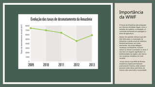 Importância
da WWF
O futuro da Amazônia está ameaçado
por diversas atividades ilegais, como a
extração de madeira, a mineração e a
conversão da floresta em pastagens e
áreas de agricultura.
Apesar dos grandes esforços que têm
sido feitos para a conservação da
Amazônia, a perda anual da cobertura
florestal permanece em níveis
alarmantes. Isso pode deflagrar
mudanças na Amazônia, inclusive
reduzir as chuvas e aumentar as secas. E
isso terá um impacto significativo na
biodiversidade da região e até mesmo
nas mudanças climáticas em nível
mundial.
A boa notícia é que 80% da floresta
amazônica original permanecem
praticamente intactos, então ainda é
possível cuidar desse patrimônio de
imenso valor para toda a humanidade.
 
