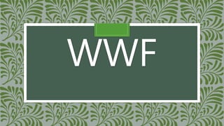 WWF
 