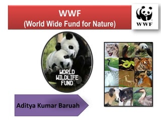 WWF
(World Wide Fund for Nature)
Aditya Kumar Baruah
 