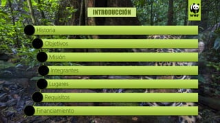 Wwf Inicios Presentación WWF (World Wildlife Fund) | PPTX