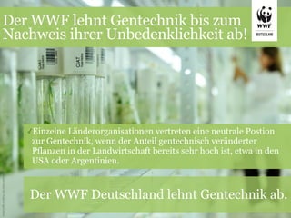 Der WWF lehnt Gentechnik bis zum
      Nachweis ihrer Unbedenklichkeit ab!




                                                       ✓Einzelne Länderorganisationen vertreten eine neutrale Postion
                                                        zur Gentechnik, wenn der Anteil gentechnisch veränderter
                                                        Pflanzen in der Landwirtschaft bereits sehr hoch ist, etwa in den
                                                        USA oder Argentinien.
© CIAT International Center for Tropical Agriculture




                                                       Der WWF Deutschland lehnt Gentechnik ab.
 