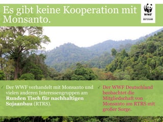 Es gibt keine Kooperation mit
Monsanto.




✓   Der WWF verhandelt mit Monsanto und   ✓   Der WWF Deutschland
    vielen anderen Interessengruppen am       beobachtet die
    Runden Tisch für nachhaltigen             Mitgliedschaft von
    Sojaanbau (RTRS).                         Monsanto am RTRS mit
                                              großer Sorge.
 