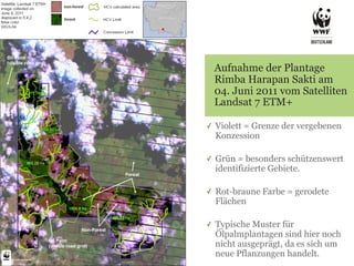 Aufnahme der Plantage
    Rimba Harapan Sakti am
    04. Juni 2011 vom Satelliten
    Landsat 7 ETM+

✓   Violett = Grenze der vergebenen
    Konzession

✓   Grün = besonders schützenswert
    identifizierte Gebiete.

✓   Rot-braune Farbe = gerodete
    Flächen

✓   Typische Muster für
    Ölpalmplantagen sind hier noch
    nicht ausgeprägt, da es sich um
    neue Pflanzungen handelt.
 
