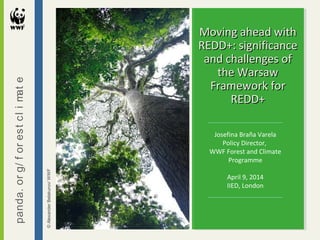 Moving ahead withMoving ahead with
REDD+: significanceREDD+: significance
and challenges ofand challenges of
the Warsawthe...