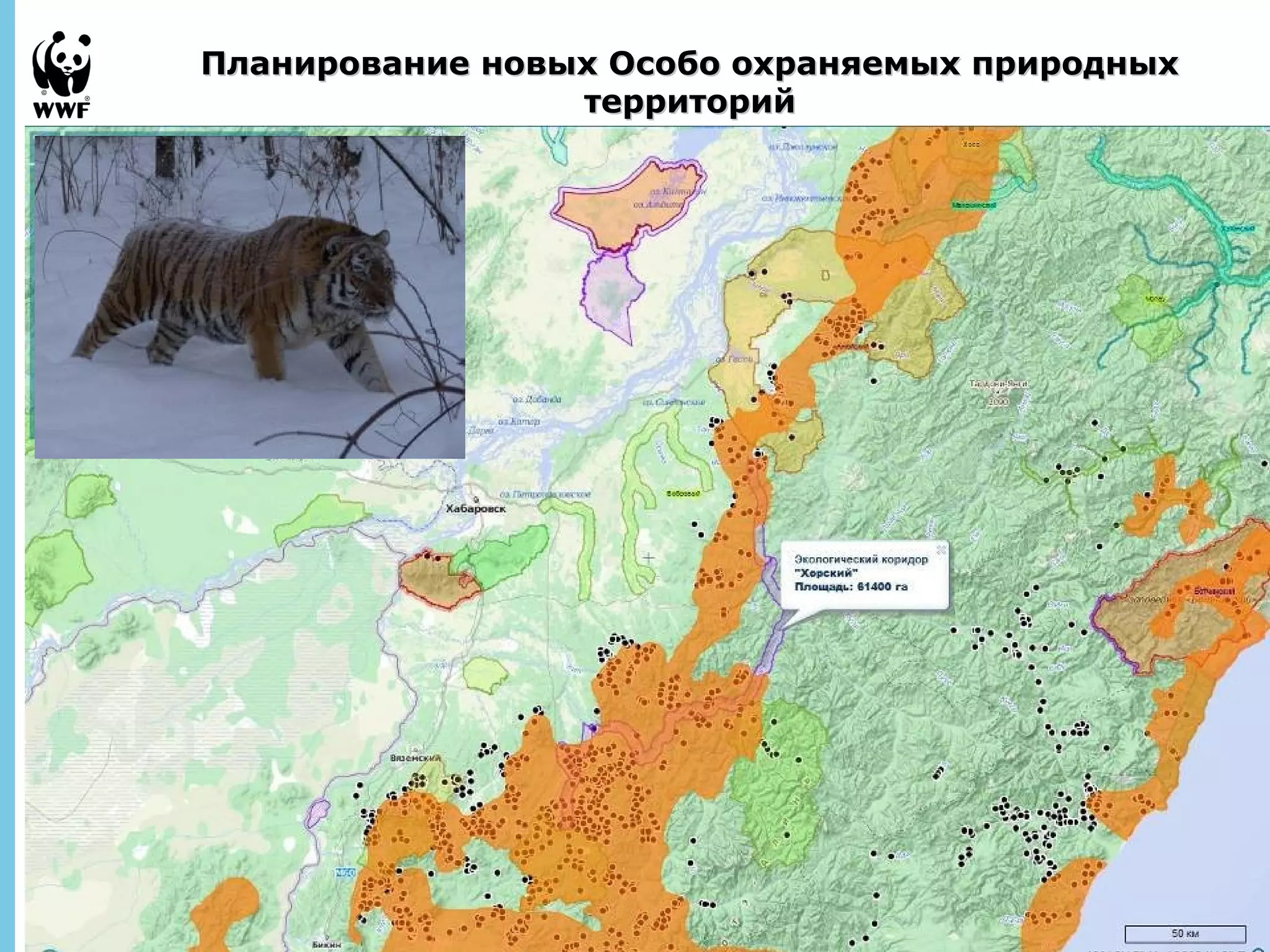 Планирование новых Особо ооххрраанняяееммыыхх ппрриирроодднныыхх 
September 
28, 2013 - 
12 
ттееррррииттоорриийй 
 