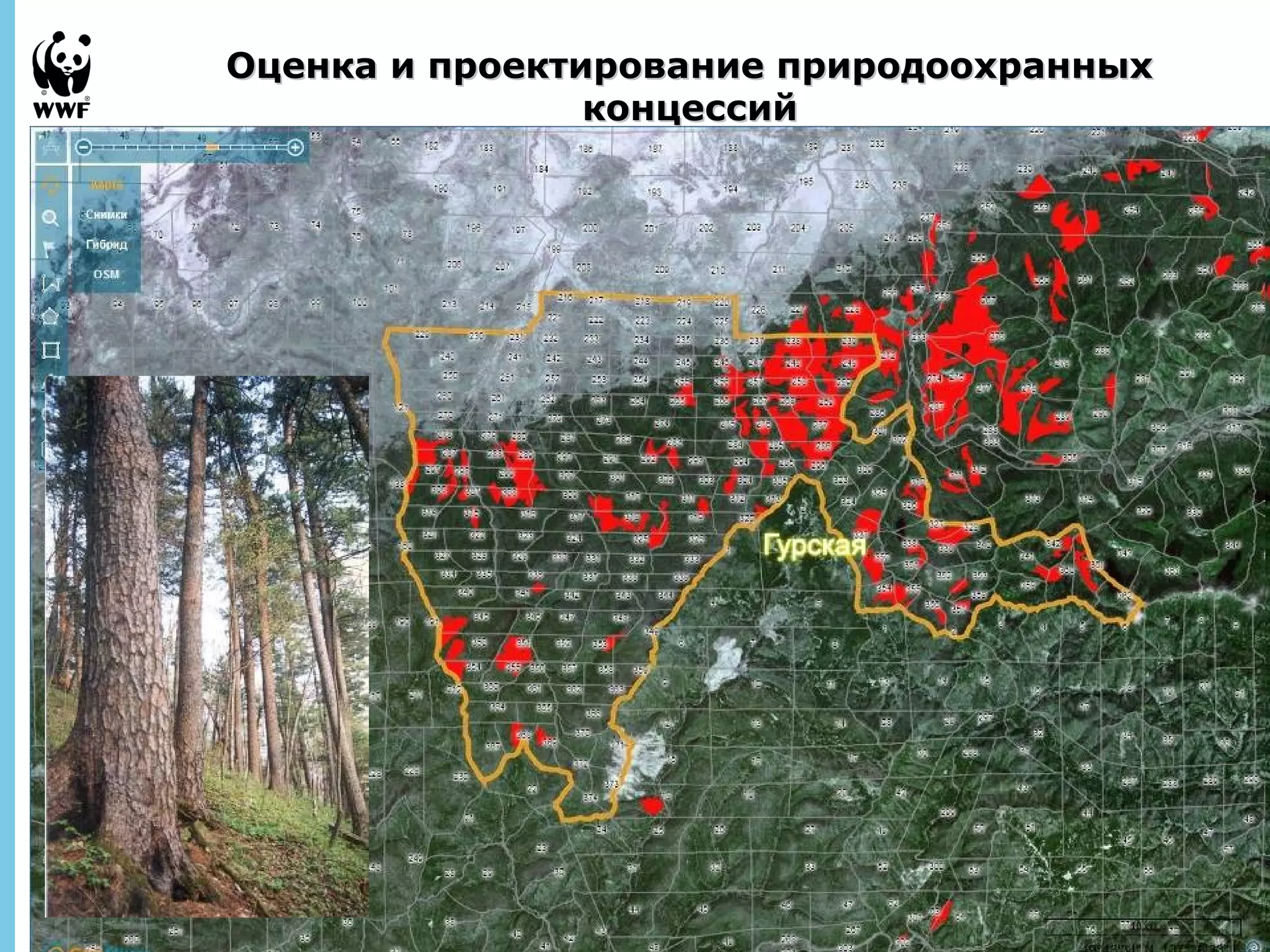 Оценка ии ппррооееккттииррооввааннииее ппррииррооддооооххрраанннныыхх 
September 
28, 2013 - 
14 
ккооннццеессссиийй 
 