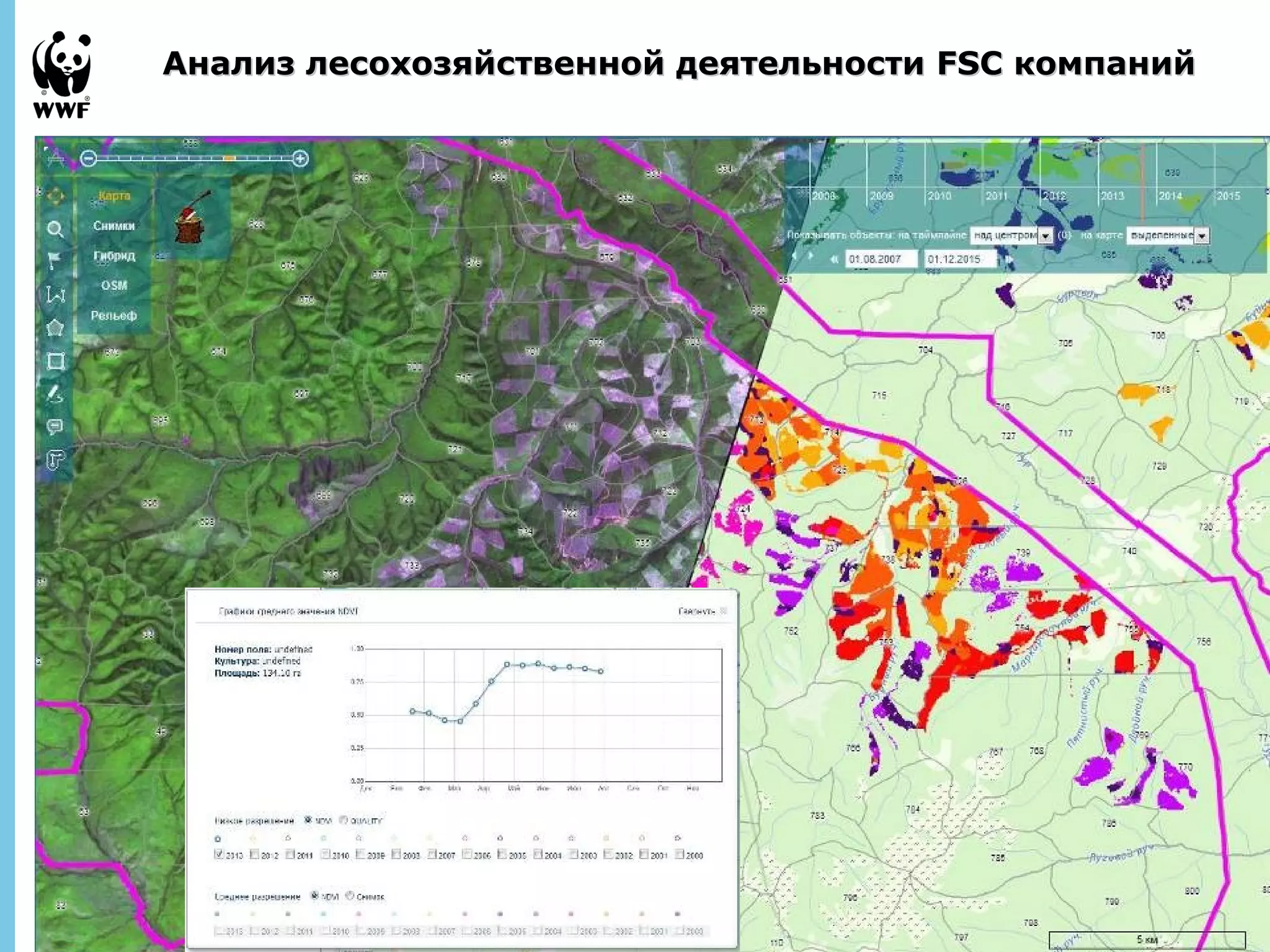 Анализ лесохозяйственной ддееяяттееллььннооссттии FFSSCC ккооммппаанниийй 
September 
28, 2013 - 
22 
 