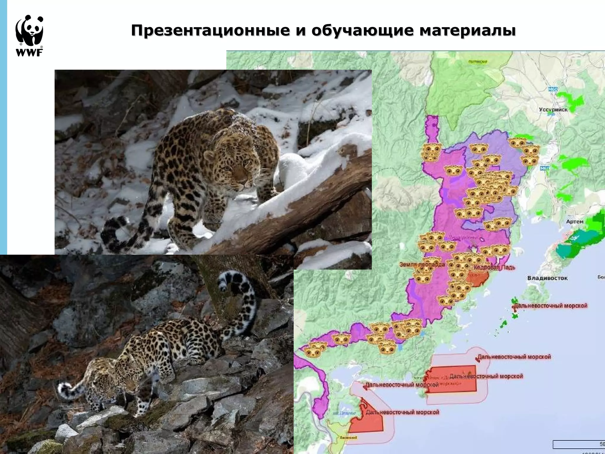 Презентационные ии ооббууччааюющщииее ммааттееррииааллыы 
September 
28, 2013 - 
27 
 